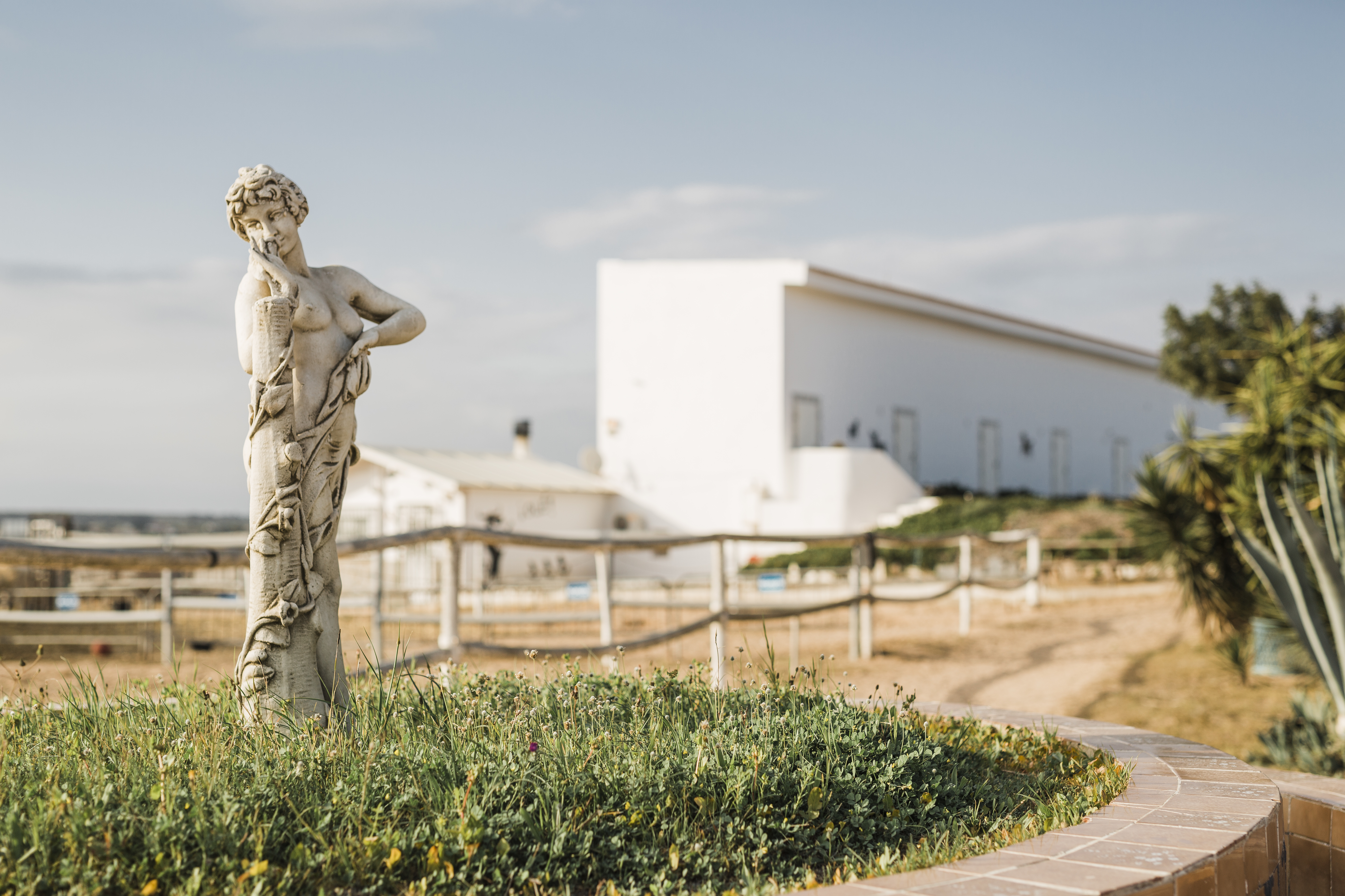 8-daagse Guardamar Trail: Ontdek de Vega Baja Valencia - Spanje - Afbeelding 14