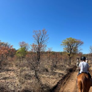10 of 12-daagse Paardensafari Matobo Hills, Bulawayo & Victoria Falls - Zimbabwe - Afbeelding 21