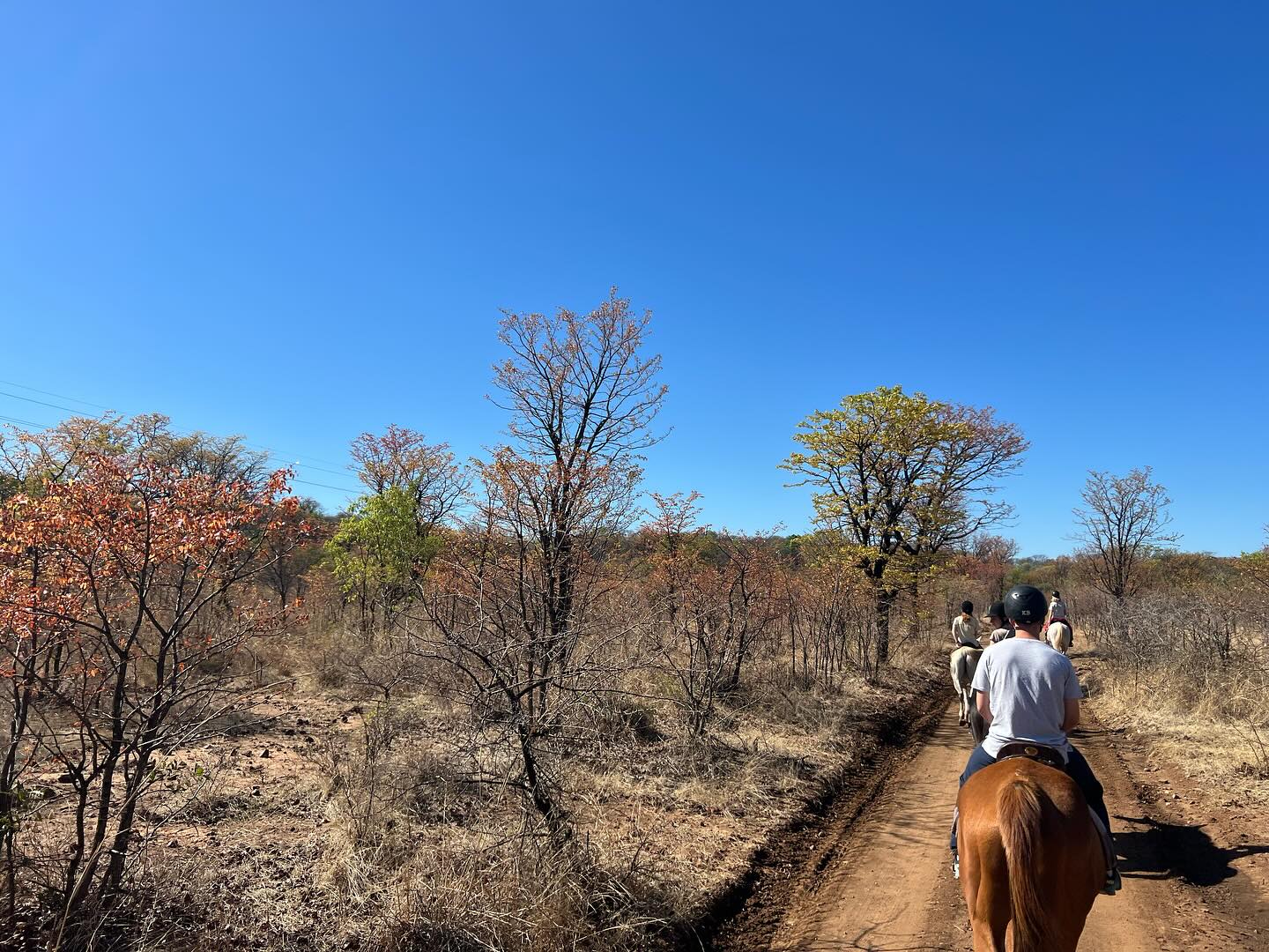 10 of 12-daagse Paardensafari Matobo Hills, Bulawayo & Victoria Falls - Zimbabwe