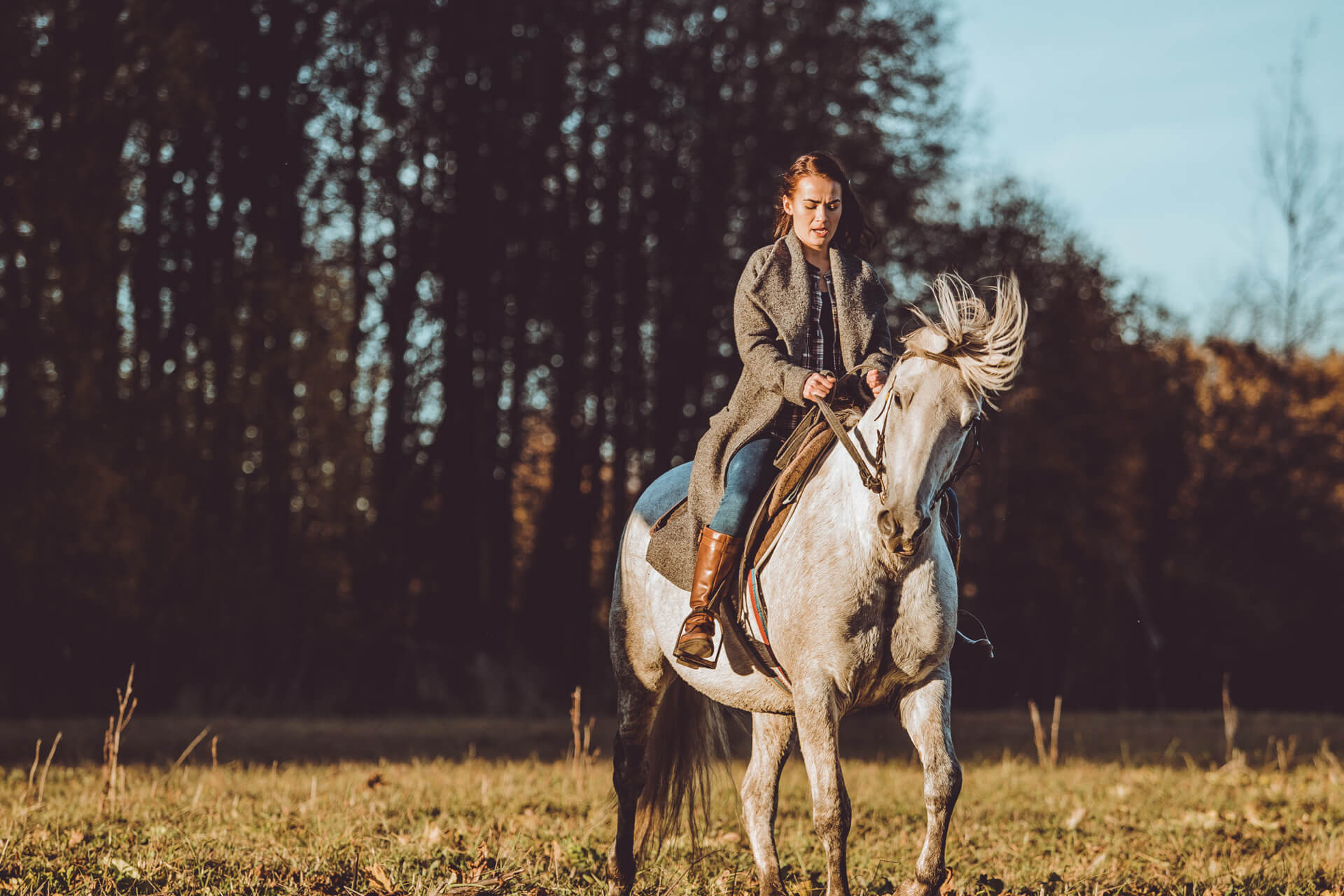 Introductie tot paarden en de basis van het paardrijden Dolenjska - Slovenië
