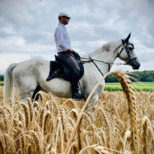 Introductie tot paarden en de basis van het paardrijden Dolenjska - Slovenië - Afbeelding 2