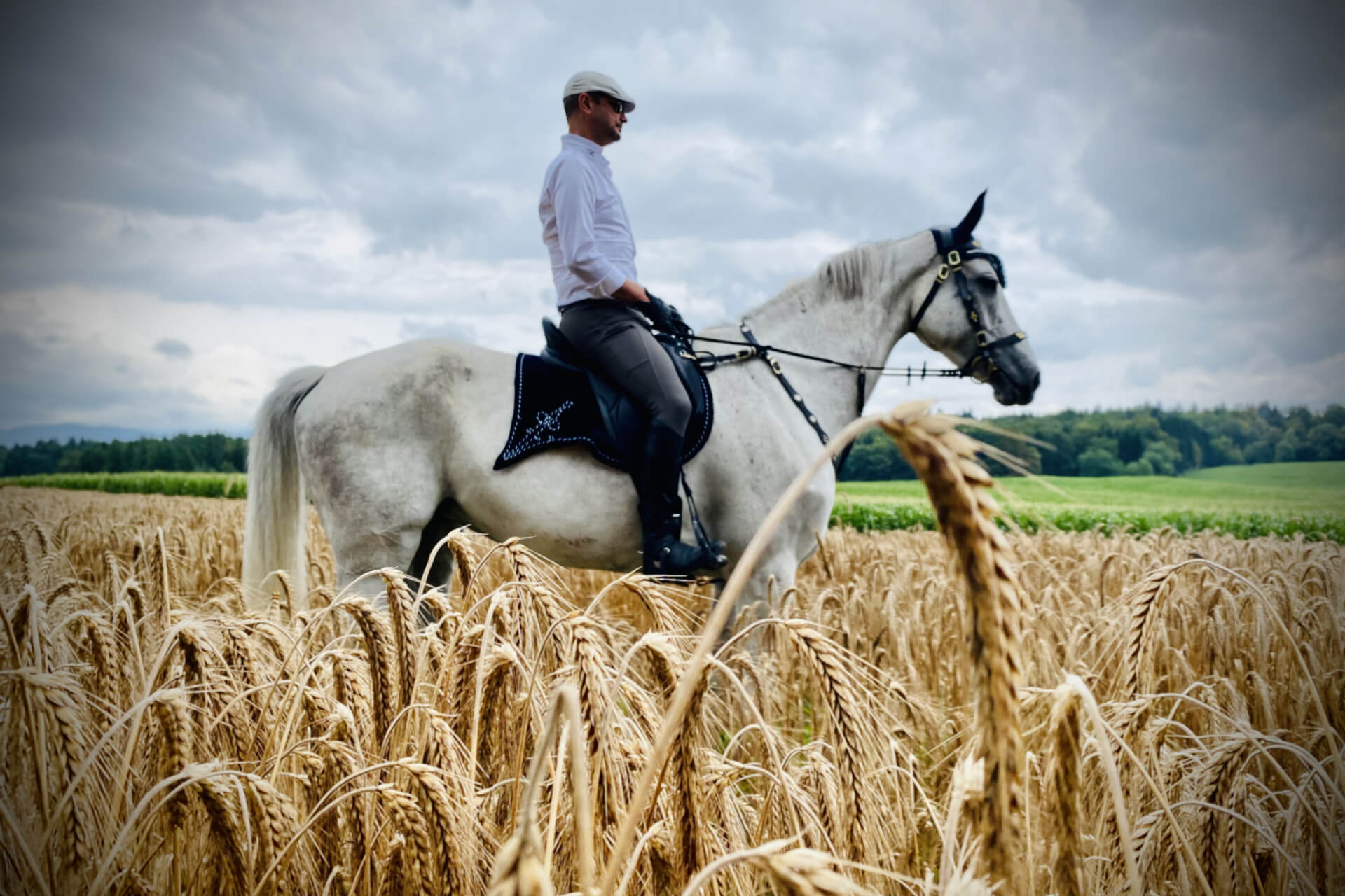 Introductie tot paarden en de basis van het paardrijden Dolenjska - Slovenië