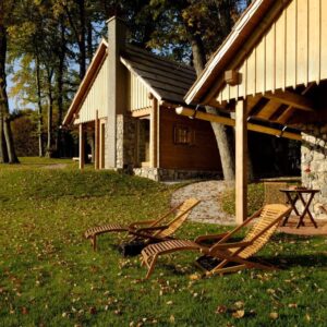 Introductie tot paarden en de basis van het paardrijden Dolenjska - Slovenië - Afbeelding 14