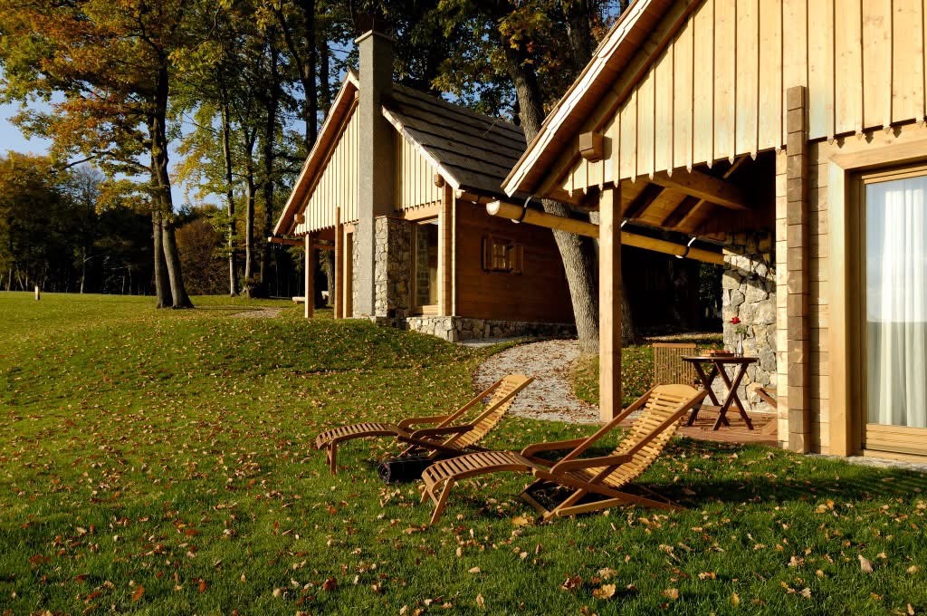 Introductie tot paarden en de basis van het paardrijden Dolenjska - Slovenië - Afbeelding 14