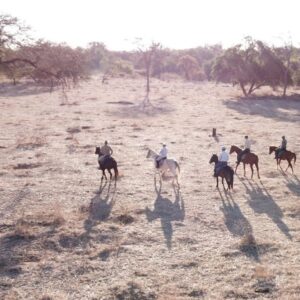 10 of 12-daagse Paardensafari Matobo Hills, Bulawayo & Victoria Falls - Zimbabwe - Afbeelding 19