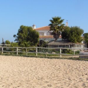 8-daagse paardrijvakantie & Tweedaagse Trail Valencia - Spanje - Afbeelding 15