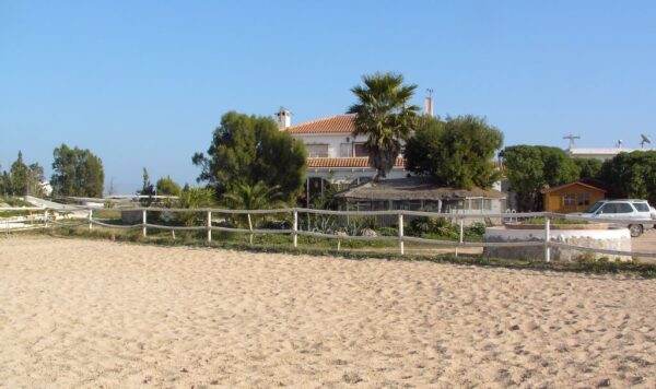 8-daagse paardrijvakantie & Tweedaagse Trail Valencia - Spanje