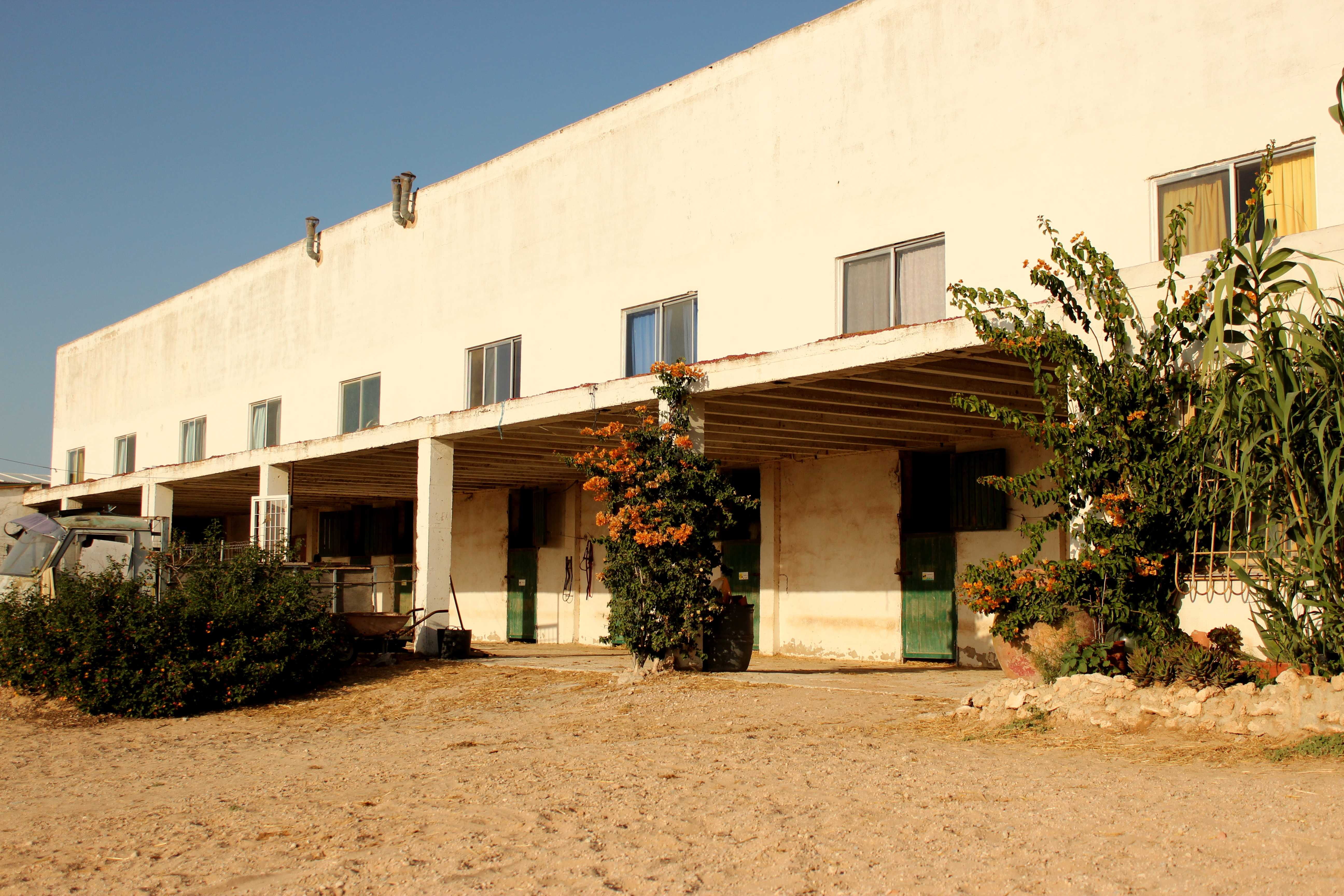 8-daagse Guardamar Trail: Ontdek de Vega Baja Valencia - Spanje - Afbeelding 17