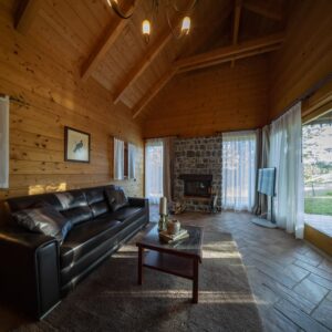 Introductie tot paarden en de basis van het paardrijden Dolenjska - Slovenië - Afbeelding 10