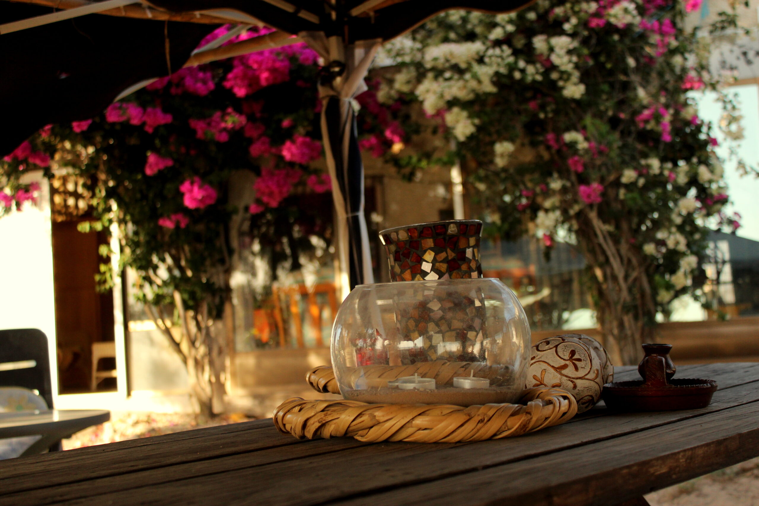 8-daagse paardrijvakantie & Tweedaagse Trail Valencia - Spanje - Afbeelding 16