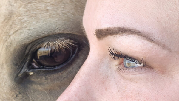 8-daagse Guardamar Trail: Ontdek de Vega Baja Valencia - Spanje