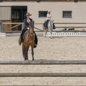 Introductie tot paarden en de basis van het paardrijden Dolenjska - Slovenië - Afbeelding 4