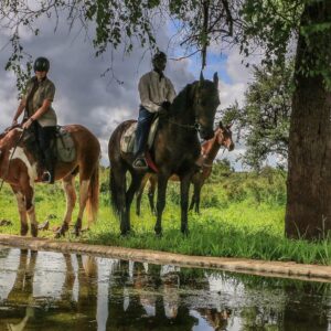 10 of 12-daagse Paardensafari Matobo Hills, Bulawayo & Victoria Falls - Zimbabwe - Afbeelding 5