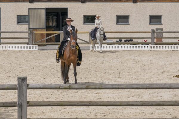 Introductie tot paarden en de basis van het paardrijden Dolenjska - Slovenië