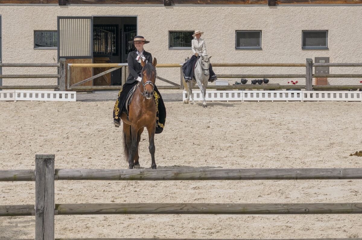Introductie tot paarden en de basis van het paardrijden Dolenjska - Slovenië - Afbeelding 4