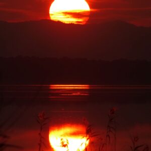 8-daagse Guardamar Trail: Ontdek de Vega Baja Valencia - Spanje - Afbeelding 19