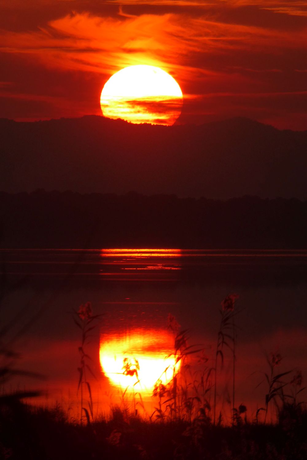 8-daagse Guardamar Trail: Ontdek de Vega Baja Valencia - Spanje