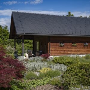 Introductie tot paarden en de basis van het paardrijden Dolenjska - Slovenië - Afbeelding 11