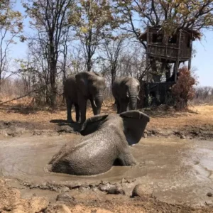 10 of 12-daagse Paardensafari Matobo Hills, Bulawayo & Victoria Falls - Zimbabwe - Afbeelding 15
