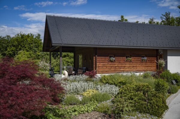 Introductie tot paarden en de basis van het paardrijden Dolenjska - Slovenië