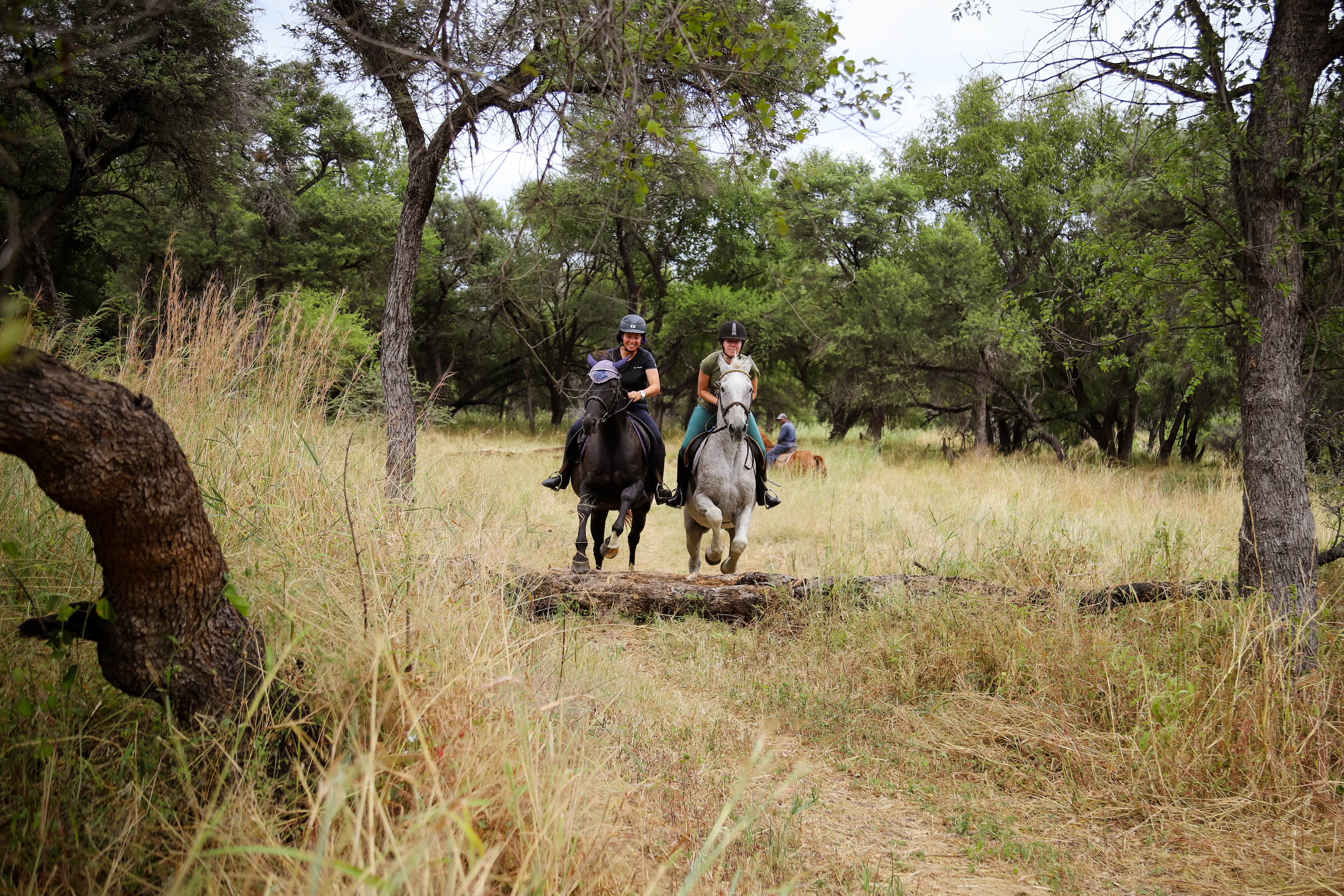 10 of 12-daagse Paardensafari Matobo Hills, Bulawayo & Victoria Falls - Zimbabwe - Afbeelding 16