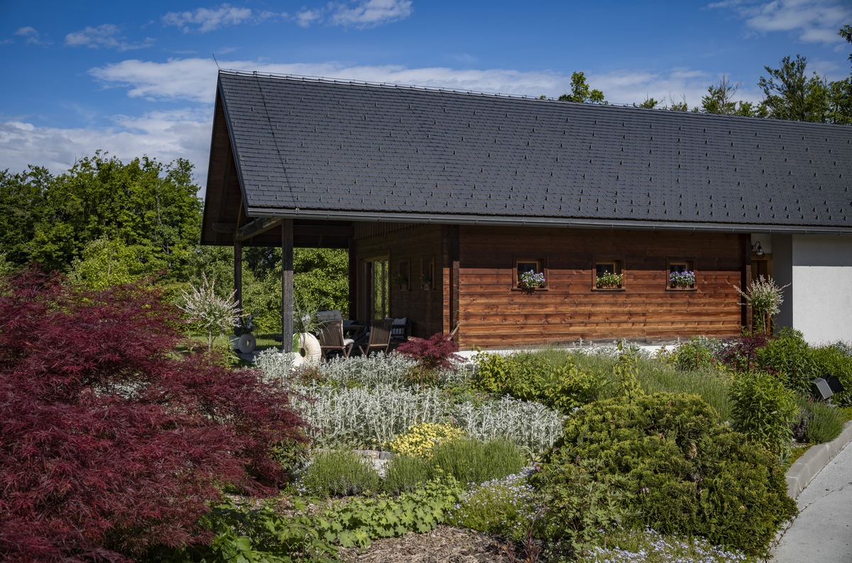 Introductie tot paarden en de basis van het paardrijden Dolenjska - Slovenië - Afbeelding 11