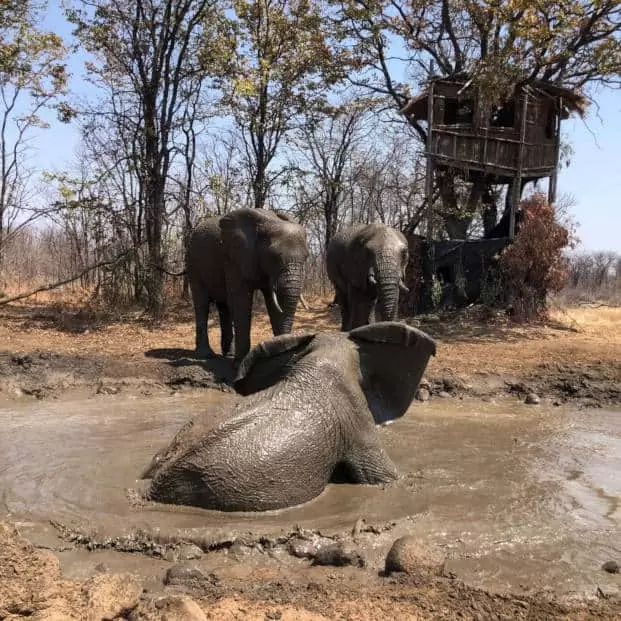 10 of 12-daagse Paardensafari Matobo Hills, Bulawayo & Victoria Falls - Zimbabwe - Afbeelding 15