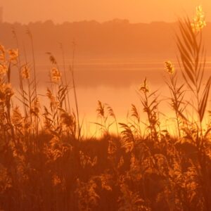 8-daagse paardrijvakantie & Tweedaagse Trail Valencia - Spanje - Afbeelding 22