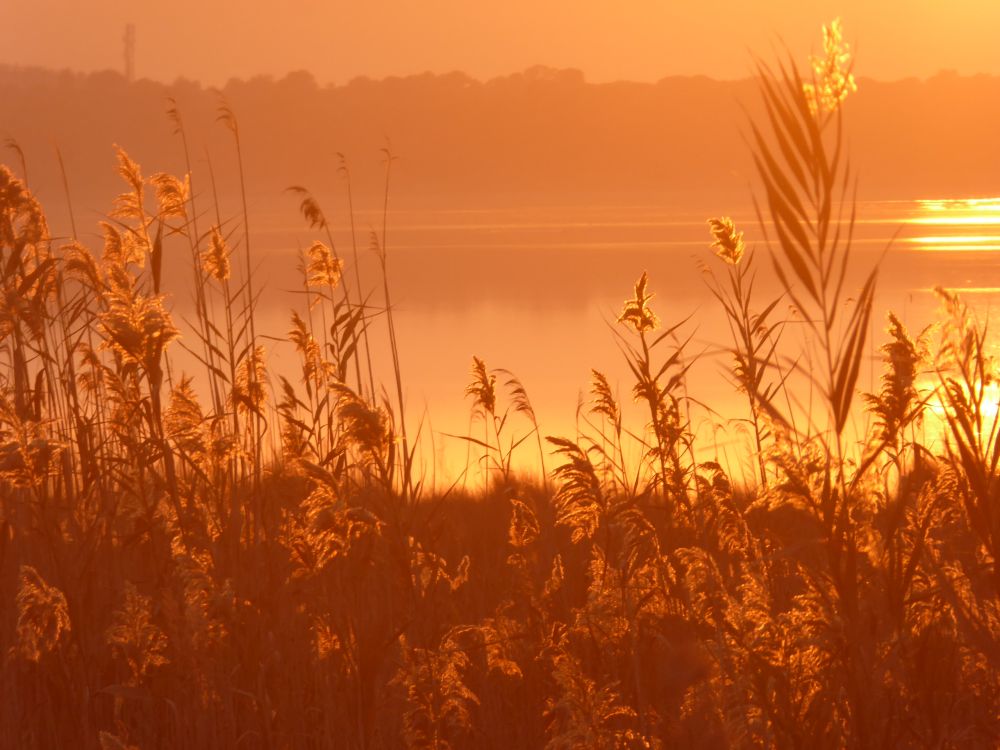 8-daagse paardrijvakantie & Tweedaagse Trail Valencia - Spanje