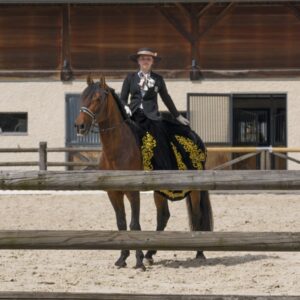 Introductie tot paarden en de basis van het paardrijden Dolenjska - Slovenië - Afbeelding 3