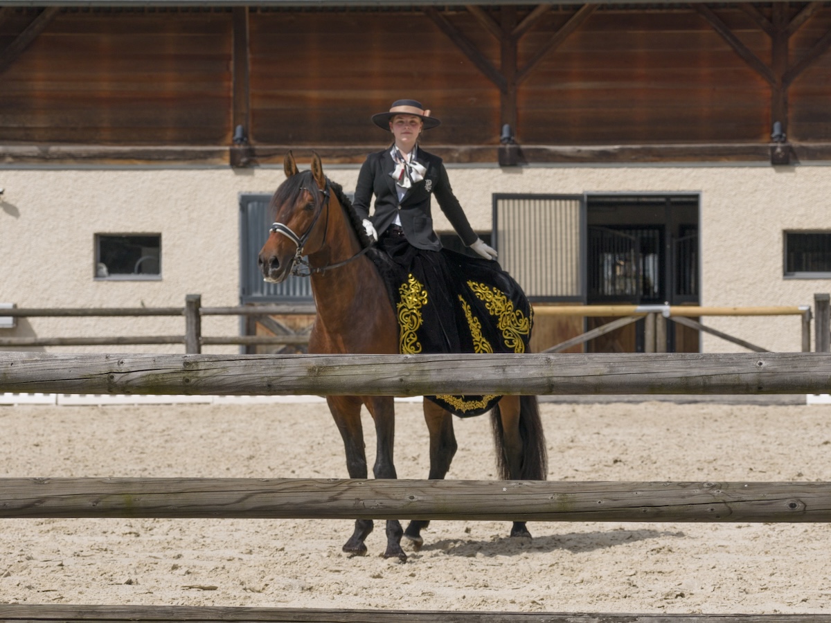 Introductie tot paarden en de basis van het paardrijden Dolenjska - Slovenië - Afbeelding 3
