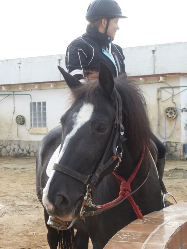 8-daagse paardrijvakantie & Tweedaagse Trail Valencia - Spanje