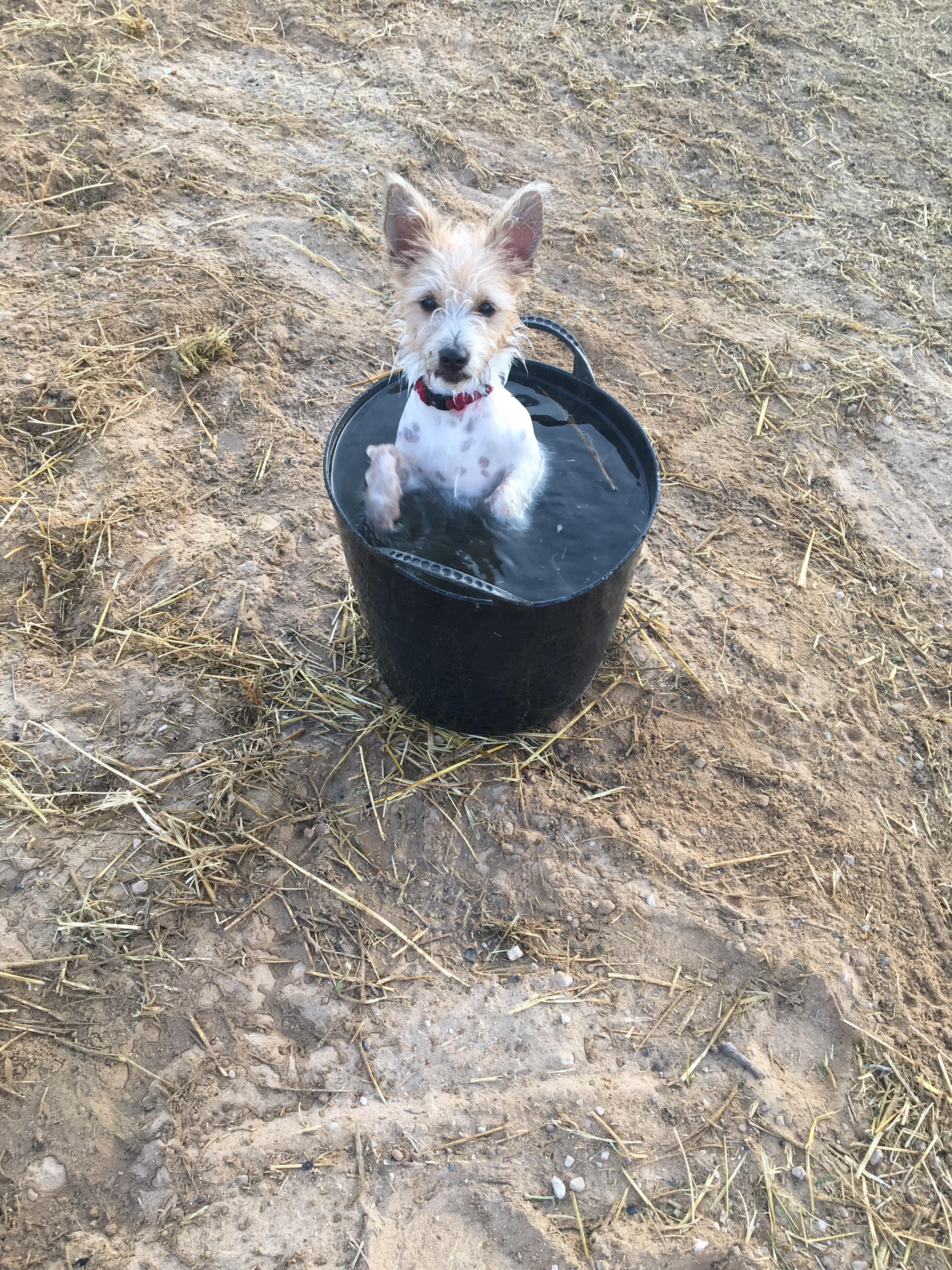8-daagse Guardamar Trail: Ontdek de Vega Baja Valencia - Spanje - Afbeelding 21