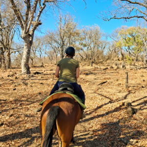 10 of 12-daagse Paardensafari Matobo Hills, Bulawayo & Victoria Falls - Zimbabwe - Afbeelding 4