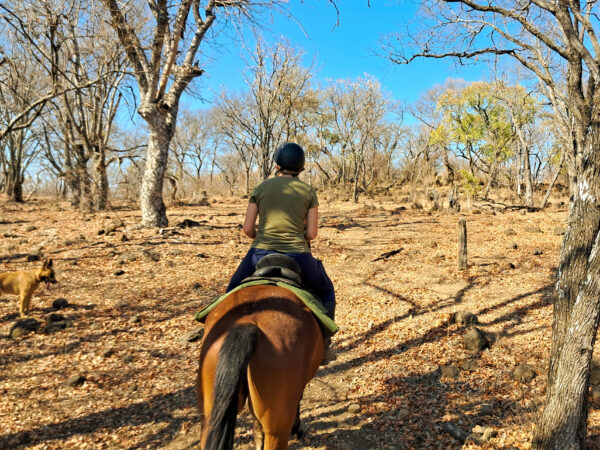 10 of 12-daagse Paardensafari Matobo Hills, Bulawayo & Victoria Falls - Zimbabwe