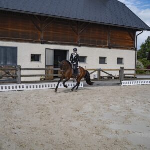 Introductie tot paarden en de basis van het paardrijden Dolenjska - Slovenië - Afbeelding 5