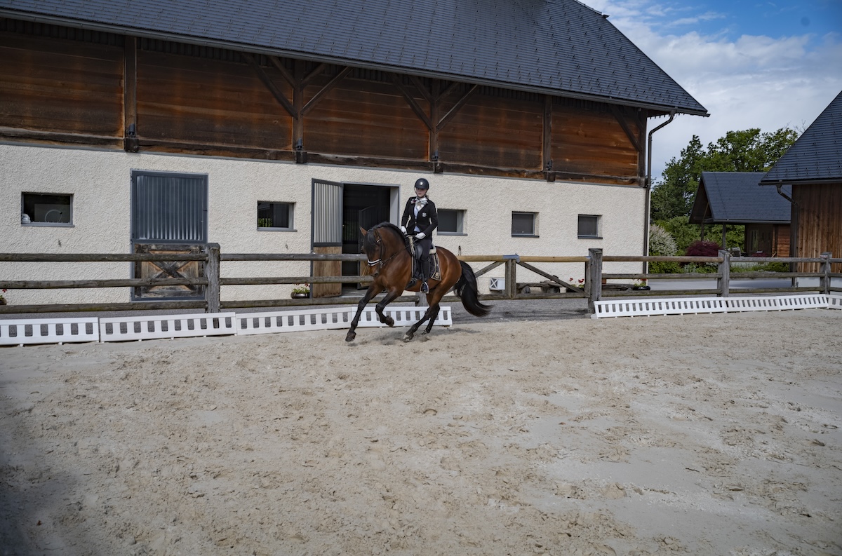 Introductie tot paarden en de basis van het paardrijden Dolenjska - Slovenië