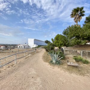 8-daagse paardrijvakantie: Terug in het Zadel in Valencia - Spanje - Afbeelding 13