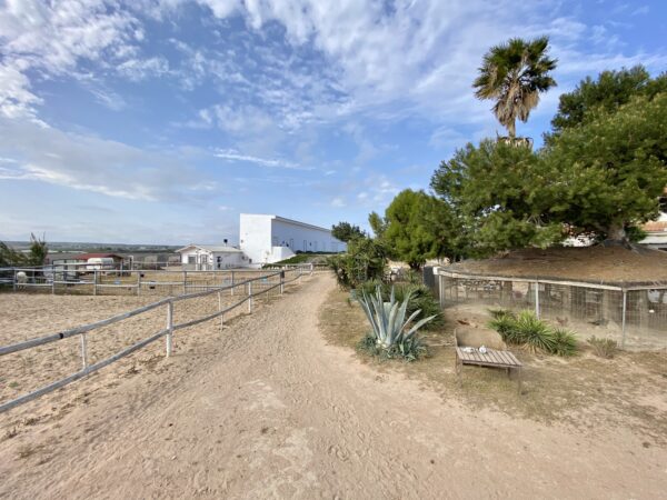 8-daagse paardrijvakantie: Terug in het Zadel in Valencia - Spanje