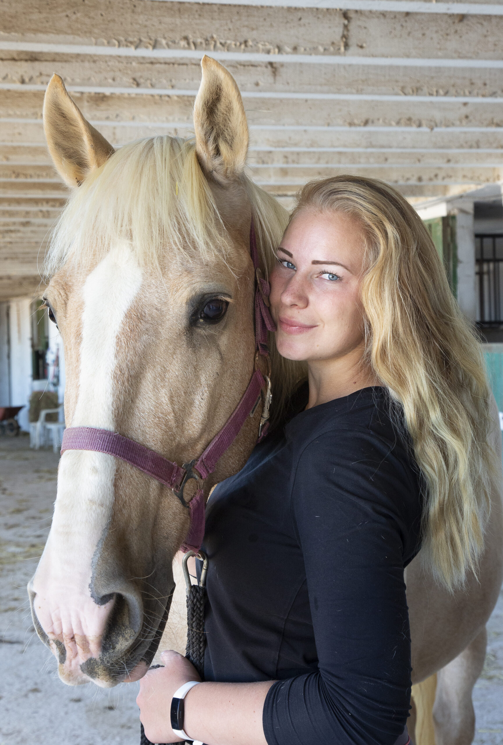 8-daagse paardrijvakantie: Terug in het Zadel in Valencia - Spanje - Afbeelding 14