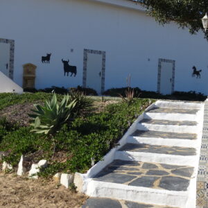 8-daagse paardrijvakantie: Terug in het Zadel in Valencia - Spanje - Afbeelding 16