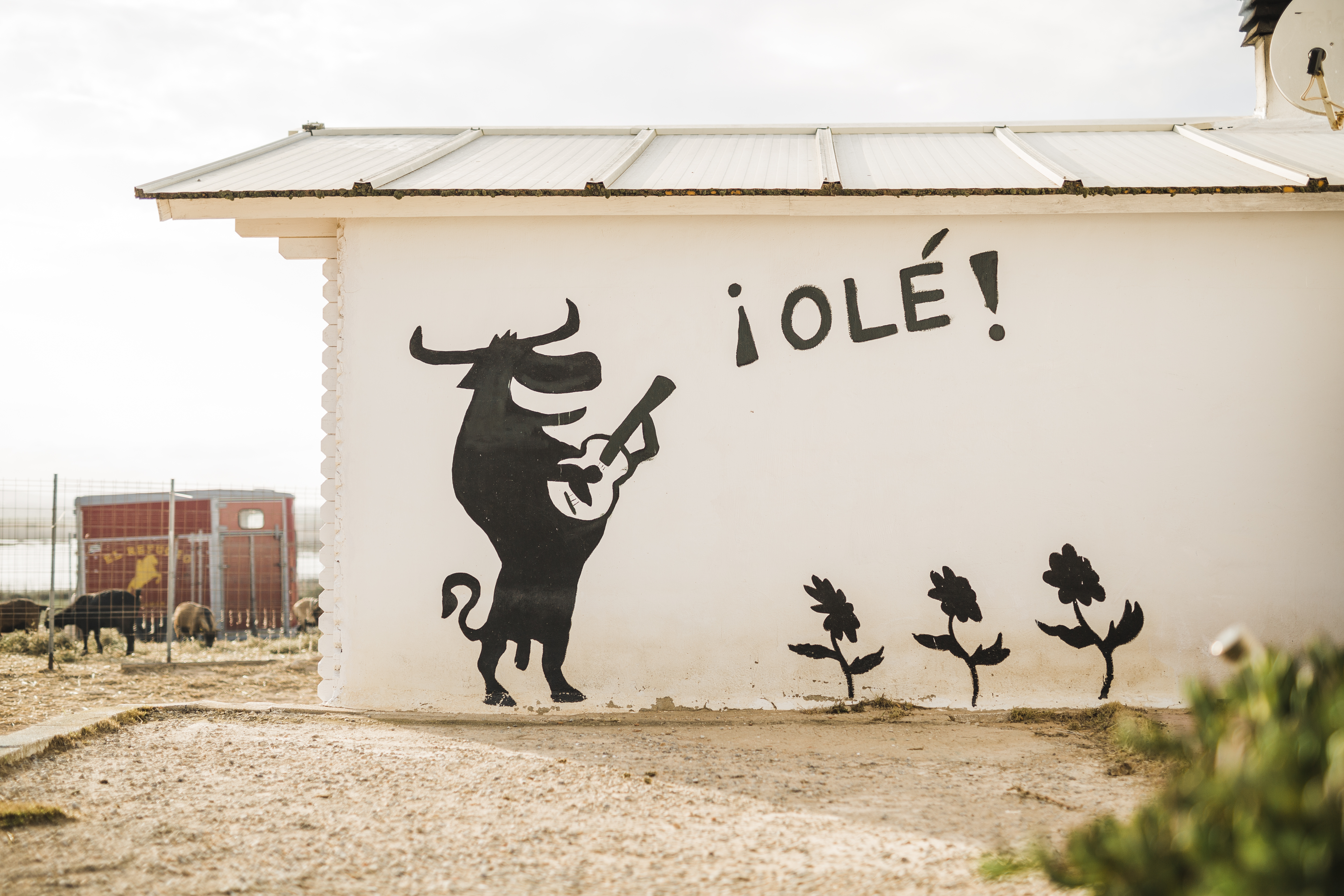 8-daagse paardrijvakantie: Terug in het Zadel in Valencia - Spanje - Afbeelding 22