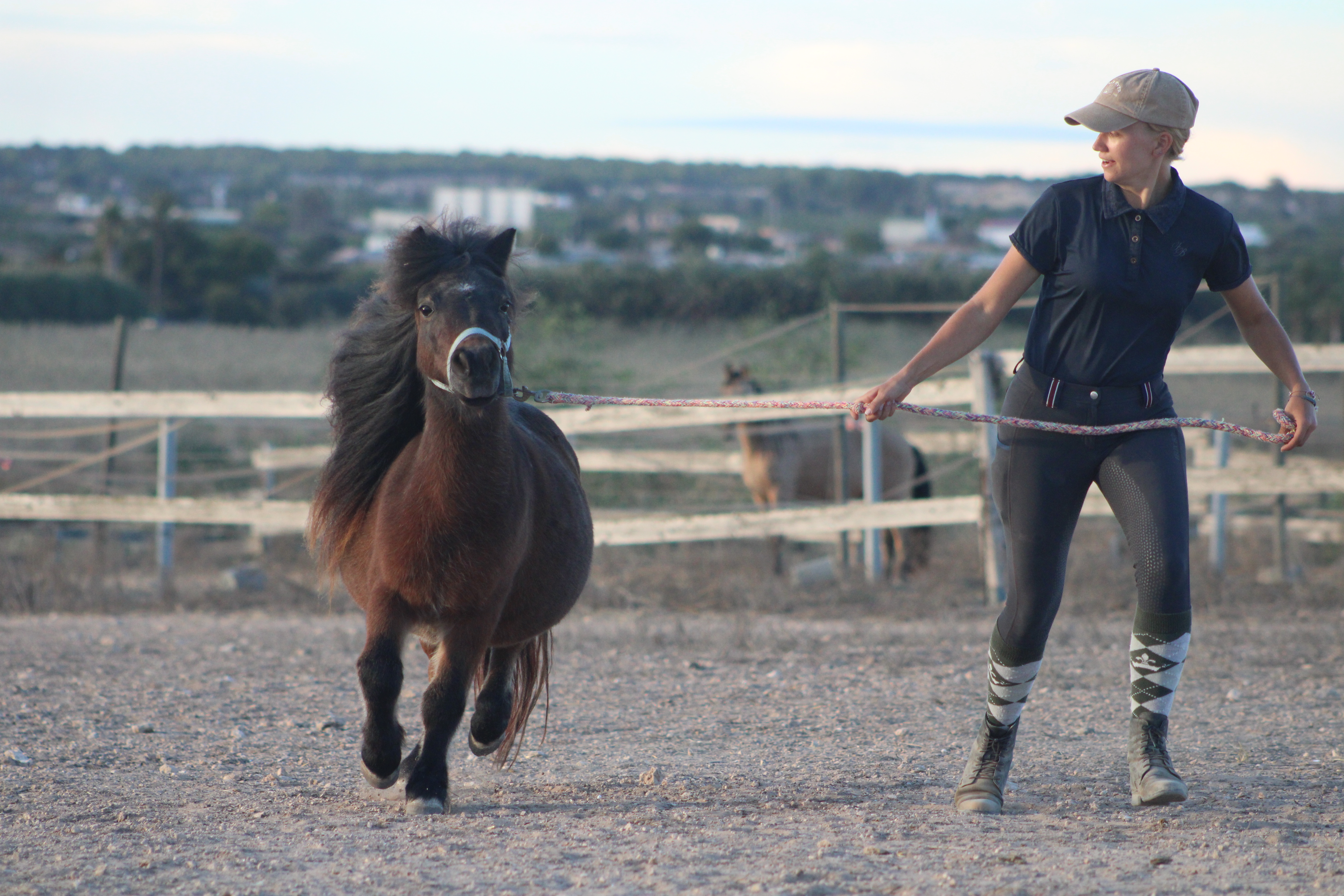 8-daagse paardrijvakantie: Terug in het Zadel in Valencia - Spanje - Afbeelding 20