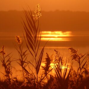 8-daagse paardrijvakantie: Terug in het Zadel in Valencia - Spanje - Afbeelding 18