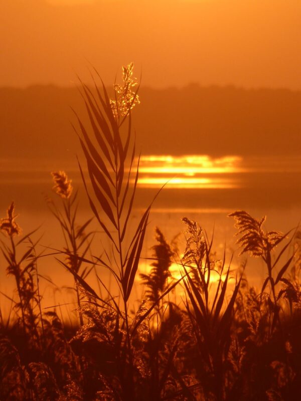 8-daagse paardrijvakantie: Terug in het Zadel in Valencia - Spanje