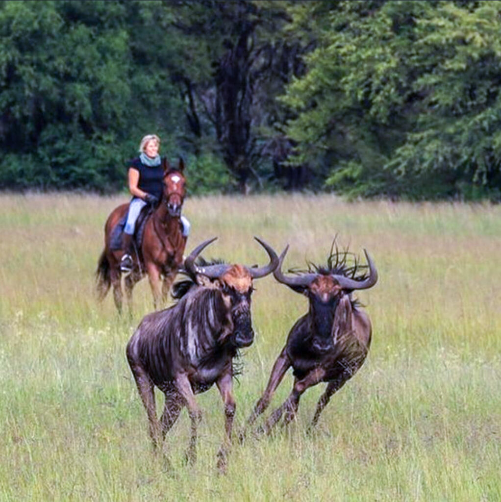 Vrijwilligersreis Hwange - Zimbabwe