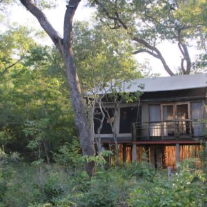 5-daagse Paardensafari Hwange - Zimbabwe - Afbeelding 32