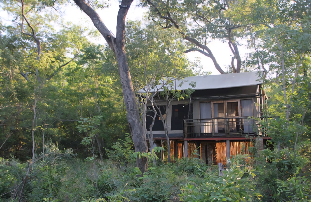 5-daagse Paardensafari Hwange - Zimbabwe
