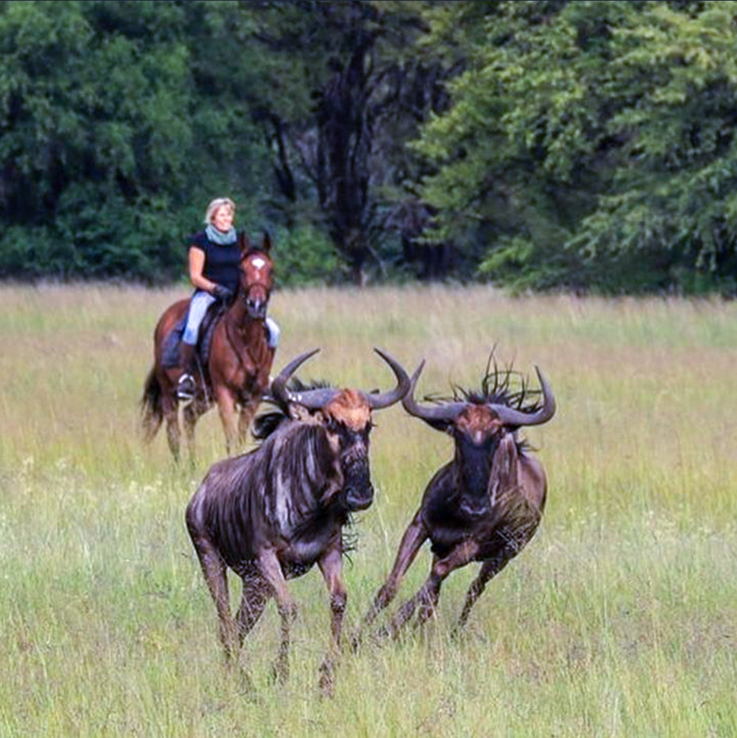 Vrijwilligersreis Hwange - Zimbabwe - Afbeelding 59