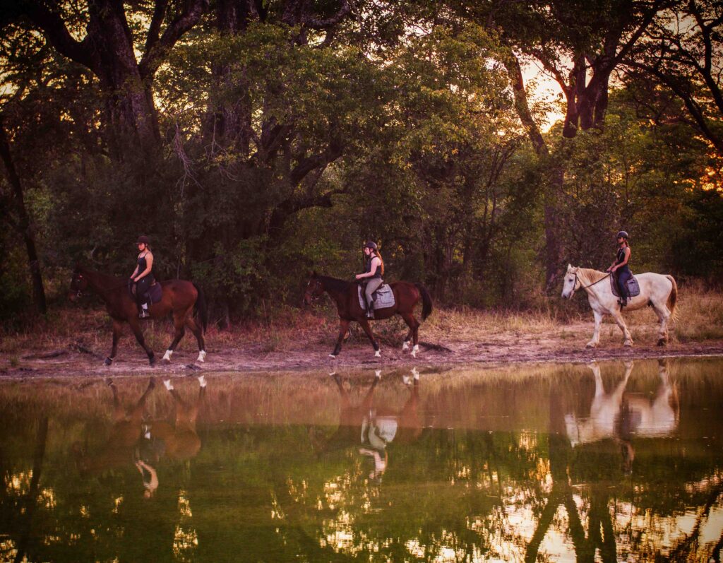 Vrijwilligersreis Hwange - Zimbabwe